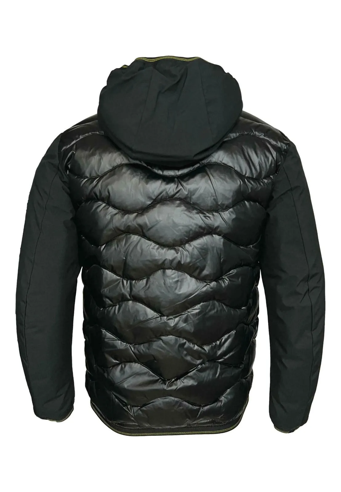 Blauer Piumino Onda Manica Liscia Uomo Invernale