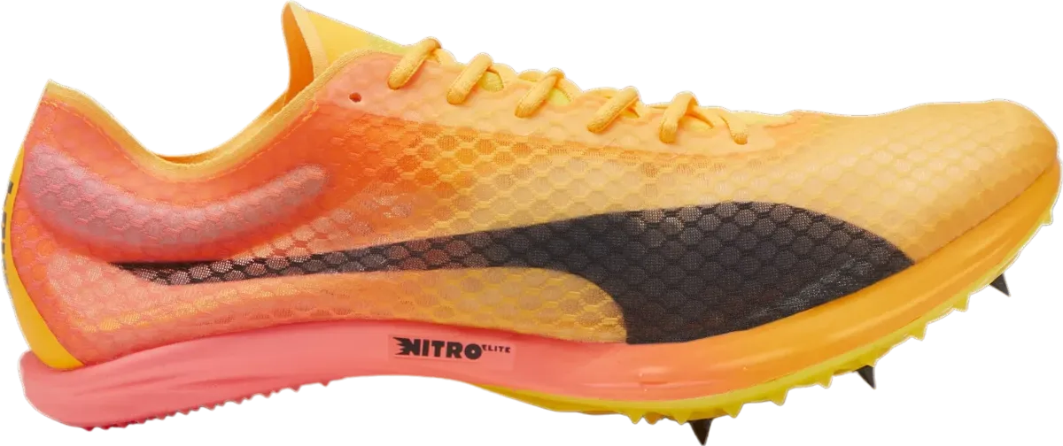 Scarpe da atletica Puma evoSPEED Distance NITRO Elite+ 4