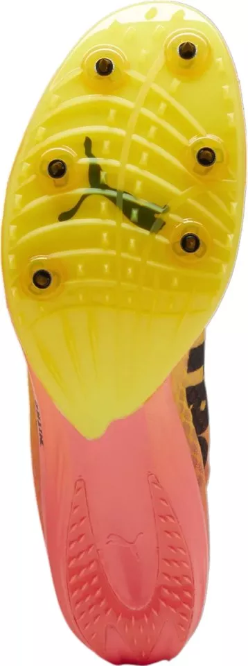 Scarpe da atletica Puma evoSPEED Distance NITRO Elite+ 4