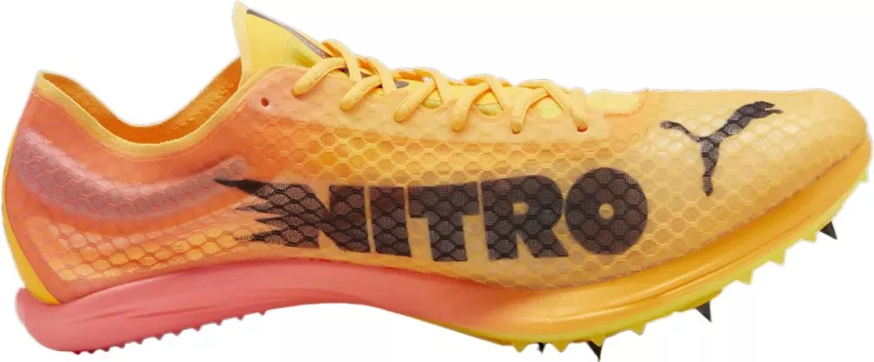 Scarpe da atletica Puma evoSPEED Distance NITRO Elite+ 4
