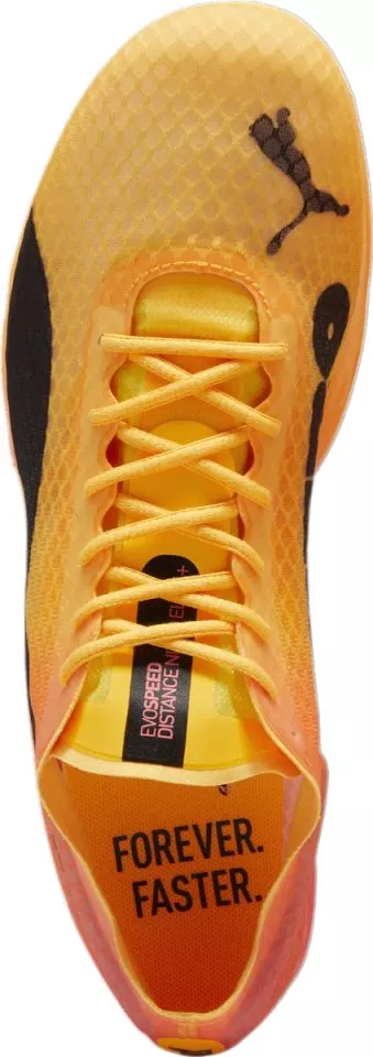 Scarpe da atletica Puma evoSPEED Distance NITRO Elite+ 4