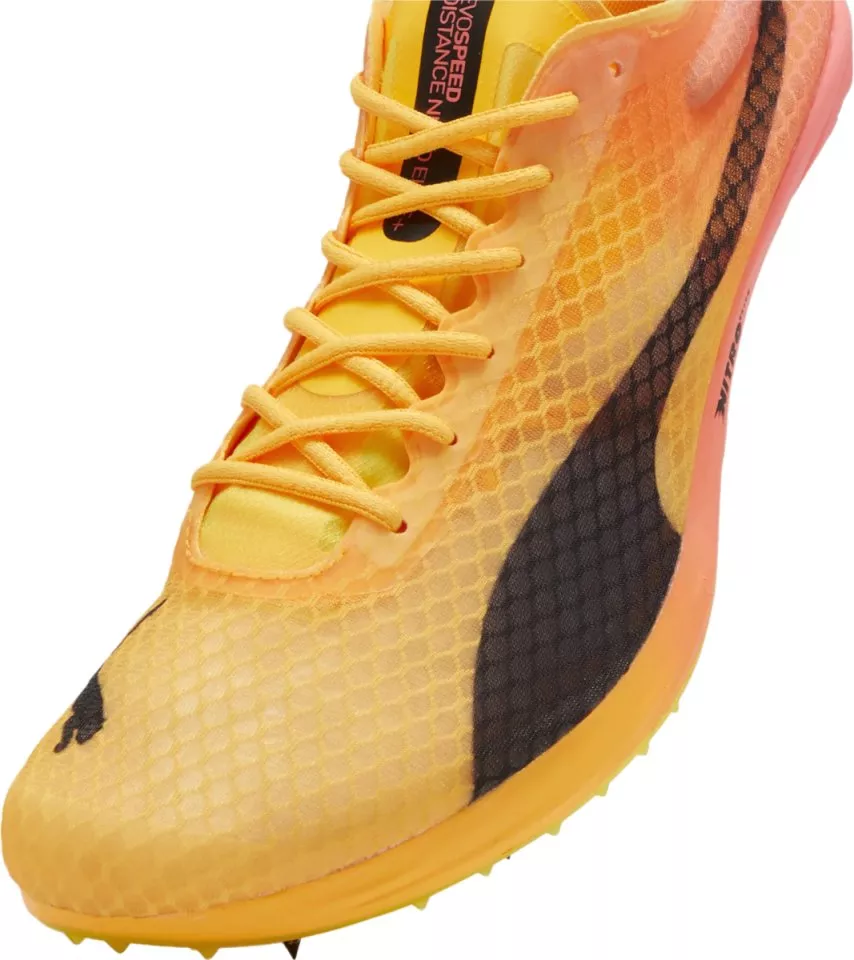 Scarpe da atletica Puma evoSPEED Distance NITRO Elite+ 4