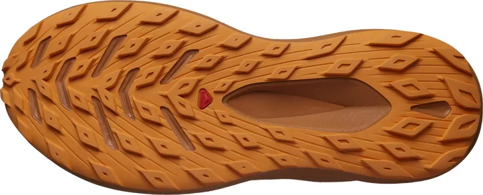 Scarpe per sentieri Salomon GLIDE MAX TR